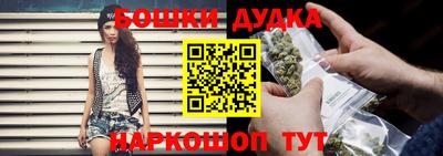 МДПВ Будённовск