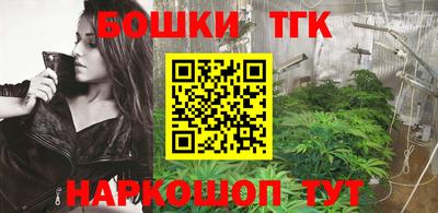 МДПВ Будённовск