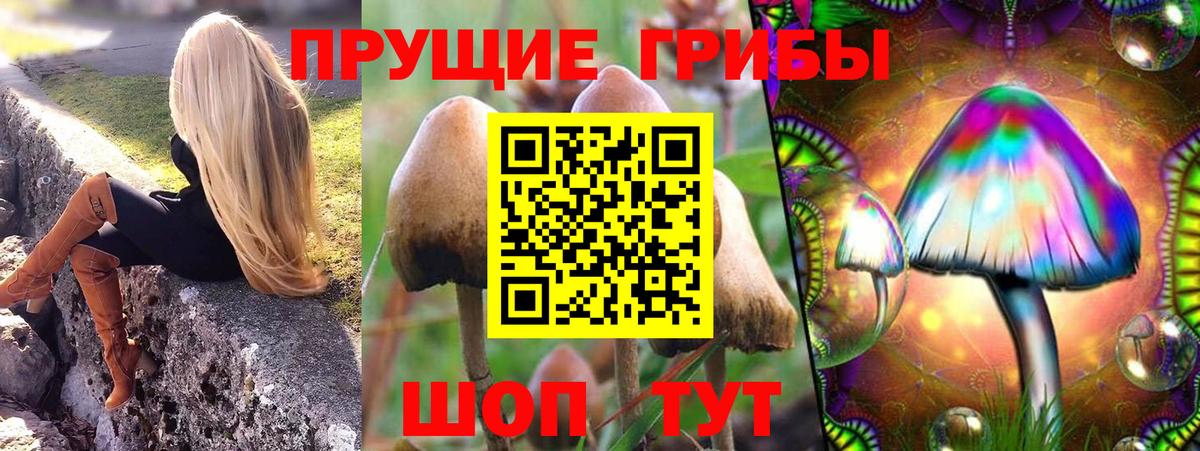 Псилоцибиновые грибы MAGIC MUSHROOMS  Вход с VPN  купить   Хабаровск 